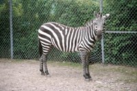000909_0491_0003_nsls.jpg