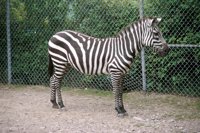 000909_0491_0001_nsls.jpg