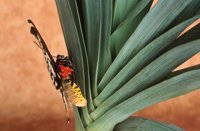 000907_0486_0030_nsls.jpg
