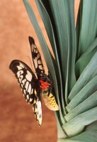 000907_0486_0028_nsls.jpg