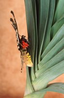000907_0486_0027_nsls.jpg