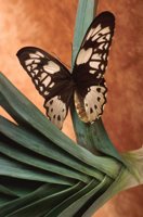 000907_0486_0026_nsls.jpg