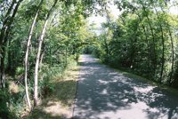 000906_0485_0036_nsls.jpg