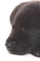 000801_0413_0011_lsls.jpg