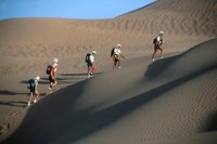 000801_0351_0021_tsls.jpg