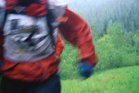 000801_0351_0012_tsls.jpg