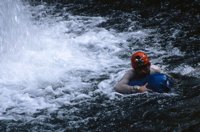 000801_0351_0010_tsls.jpg