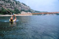 000801_0351_0007_tsls.jpg