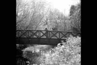 P0401965.jpg