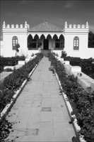 P0401945.jpg