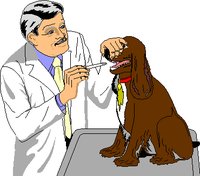 VETDOG.WMF