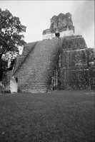 P0401467.jpg