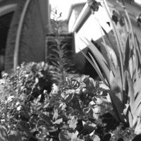 P0327441.jpg