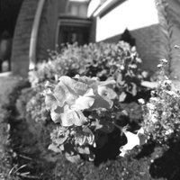 P0327440.jpg