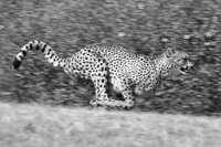 P0325576.jpg