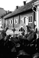 P0325433.jpg