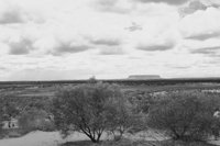 P0325122.jpg