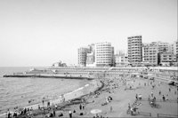 P0324852.jpg