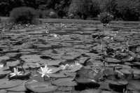 P0318960.jpg