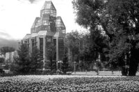 P0318944.jpg