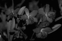 P0318771.jpg