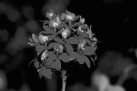 P0318760.jpg