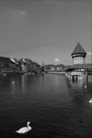 P0318631.jpg