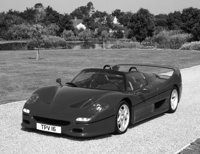 P0317343.jpg