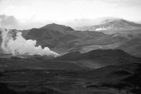 P0316955.jpg