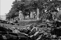 P0316600.jpg