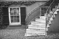 P0316580.jpg