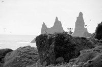 P0316550.jpg