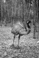 P0316533.jpg