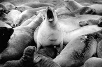 P0316405.jpg