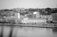 P0315825.jpg