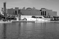 P0315764.jpg