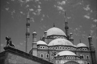 P0315275.jpg