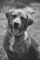 P0315071.jpg
