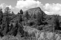 P0310976.jpg