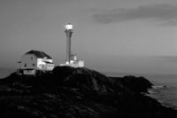 P0310755.jpg