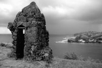 P0310684.jpg