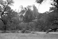 P0310318.jpg