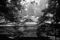 P0309380.jpg