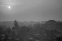 P0308791.jpg