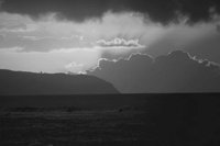 P0308773.jpg