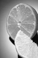 P0308368.jpg