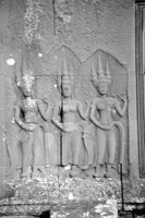 P0308056.jpg