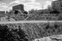 P0307243.jpg