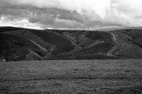 P0306847.jpg