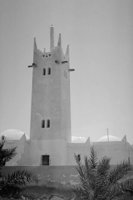 P0306836.jpg